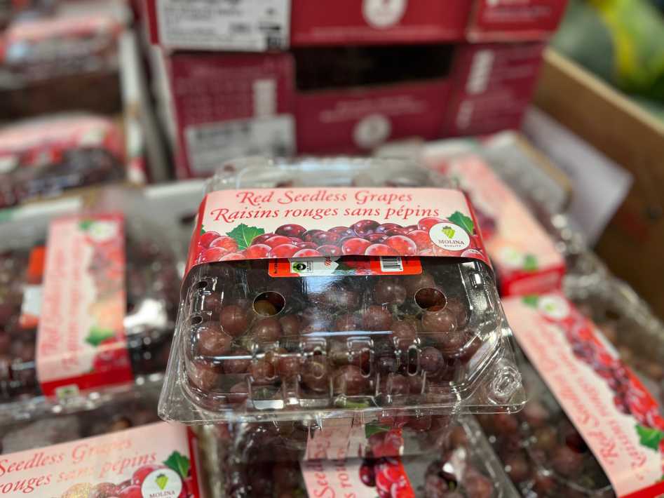 RED SEEDLESS GRAPES PRODUCT OF MEXICO