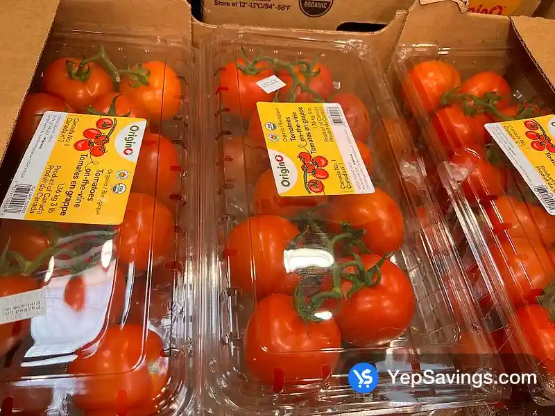 ORGANIC TOMATOES ON THE VINE