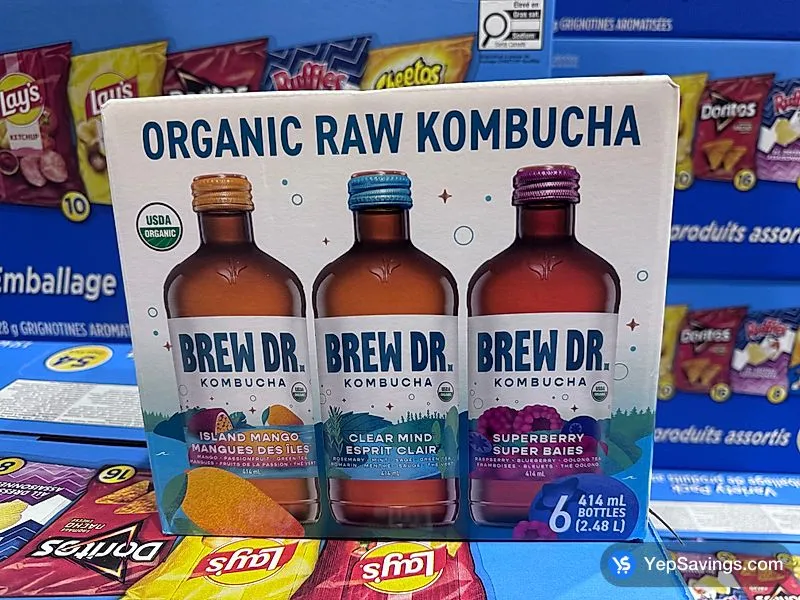 BREW DR . ORGANIC KOMBUCHA VARIETY PACK