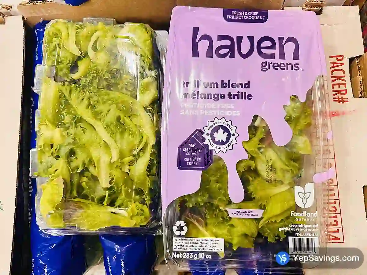 HAVEN GREENS TRILLIUM BLEND