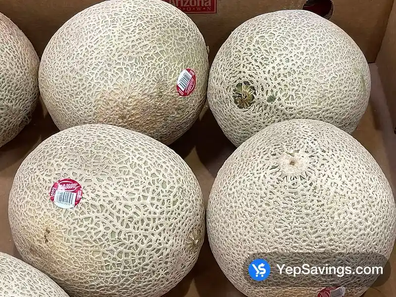 CANTALOUPE PRODUCT OF GUATEMALA