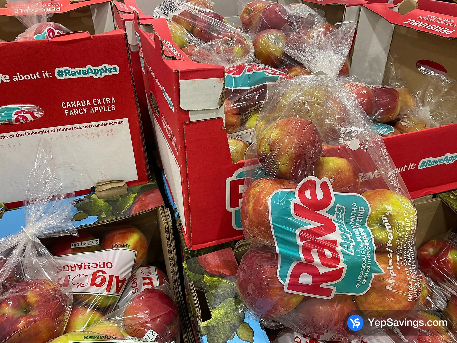 RAVE APPLES PRODUCT OF CANADA