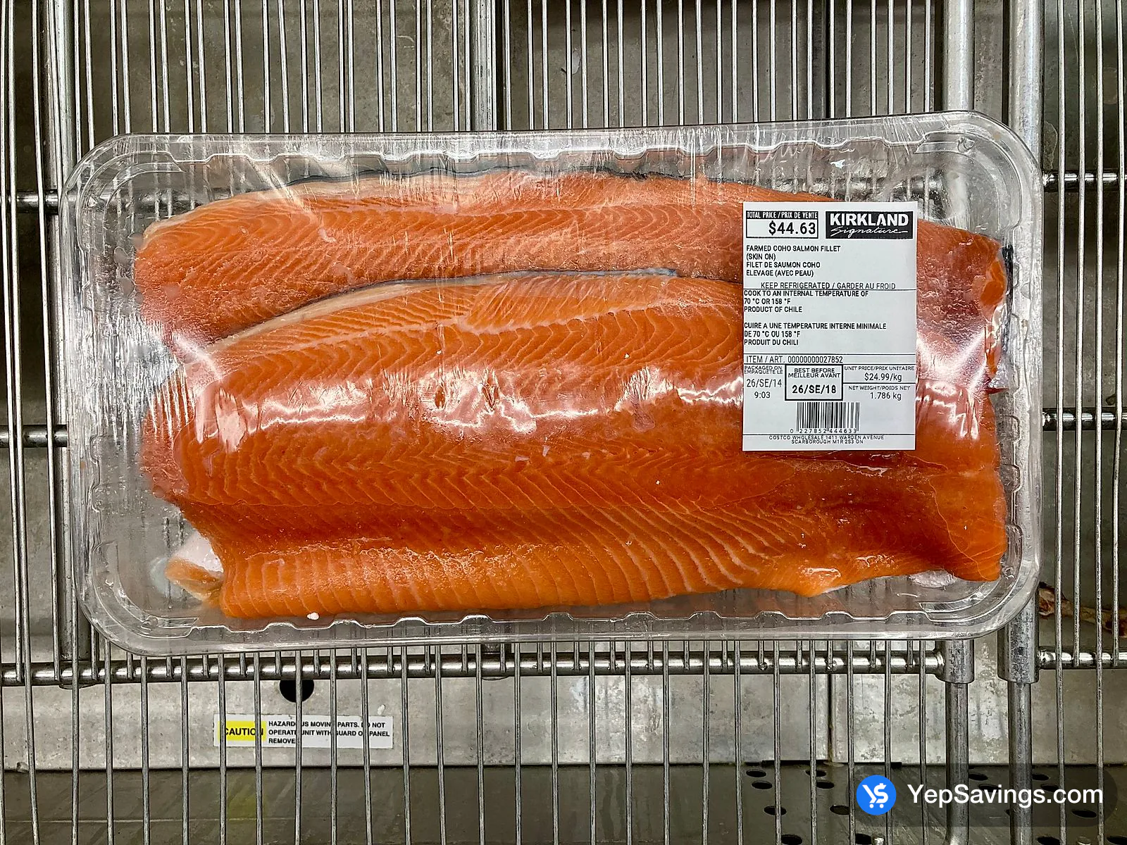 COHO SALMON FILLETS